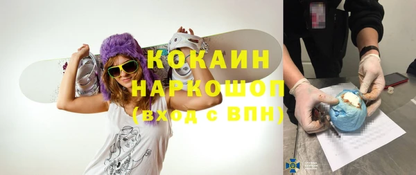 гашик Алзамай